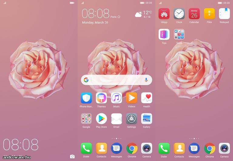 Rose.jpg