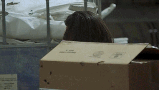 315 tumblr_ory20rO6Qm1r38ucmo1_540 1.gif