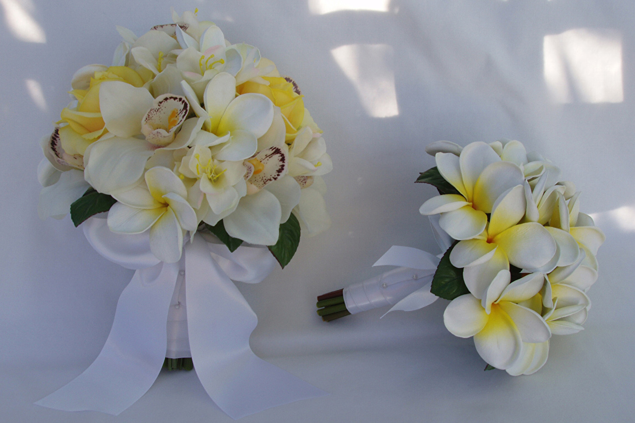 Bouquets_Plumeria_Orchid_Two_542501_1280x853.jpg