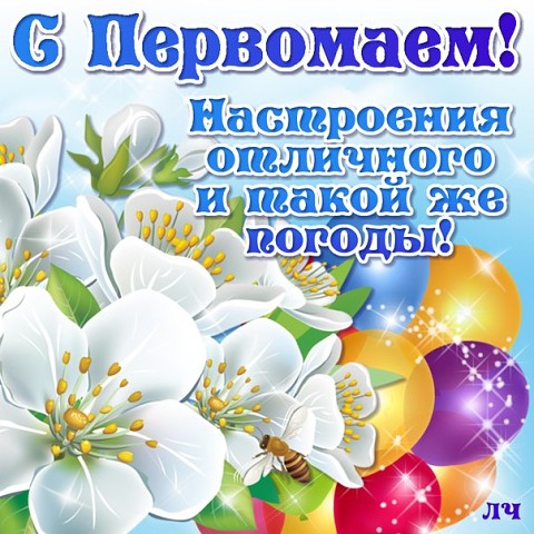 http://i6.imageban.ru/out/2018/04/30/46aeb0ba53f426594c871fe59562837a.jpg