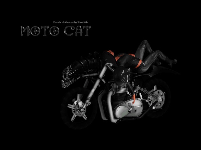 motocat the original