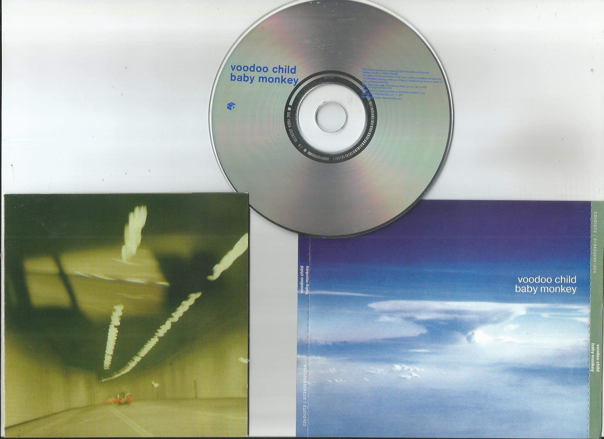 Voodoo Child Baby Monkey.jpg