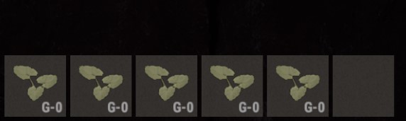 Seeds G-0
