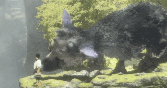 tumblr_pnrcuaDYh01t8fth0_540.gif