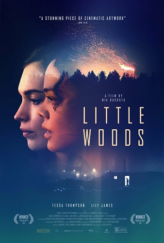 Little Woods 2018 1080p AMZN WEB-DL DDP5 1 H264-NTG Little Woods 2018 1080p AMZN WEB-DL DDP5 1 H264-NTG