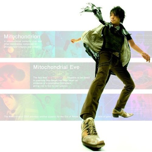 2009.06.24 - Mitochondria.jpg
