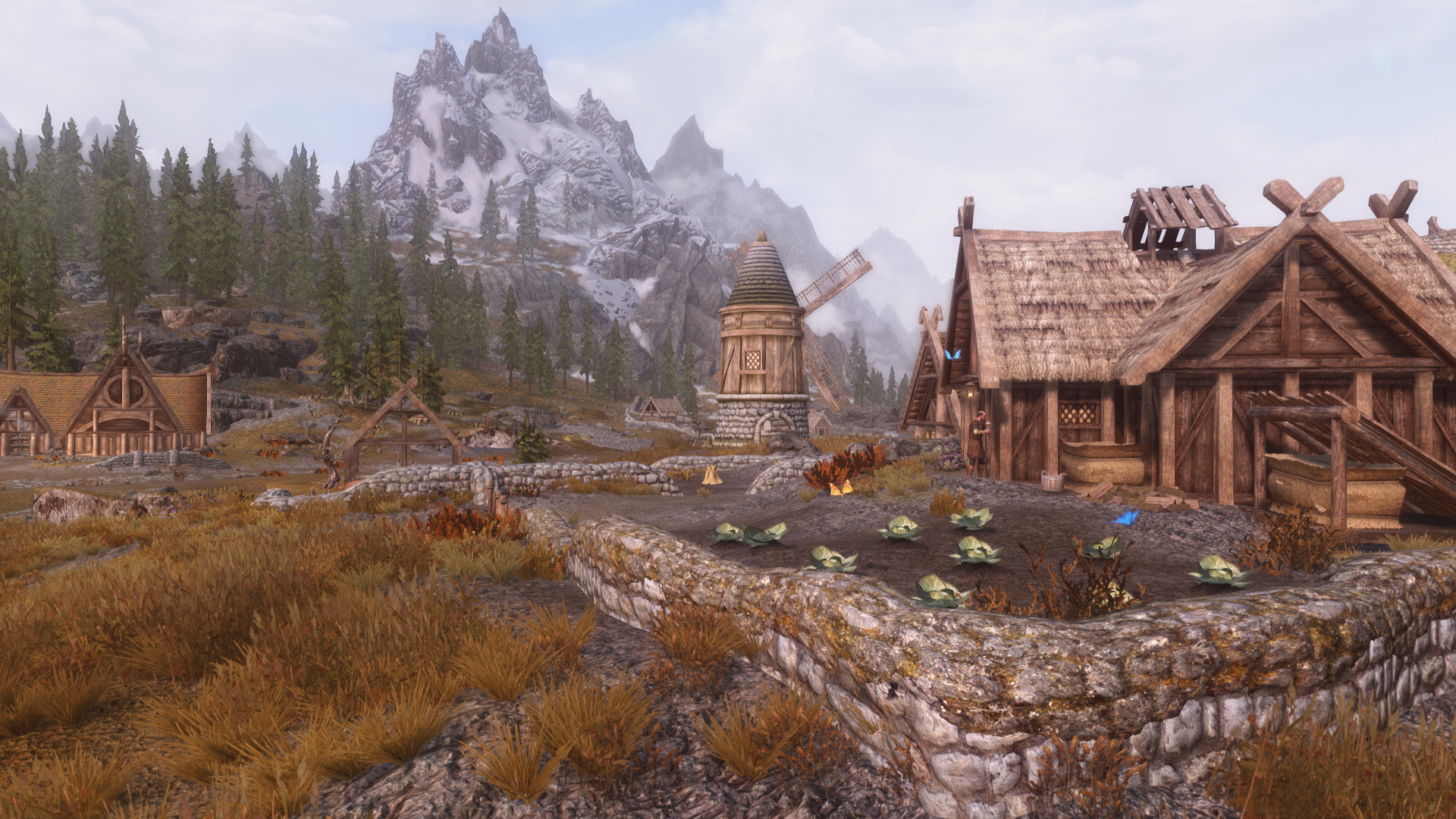 The witcher 3 eyes skyrim legendary edition фото 71