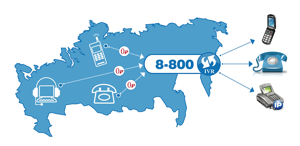 Какого провайдера выбрать для подключения номера 8800