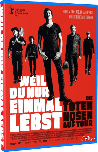 Die Toten Hosen auf Tour - Weil du nur einmal lebst (2019, BDRip 1080p)