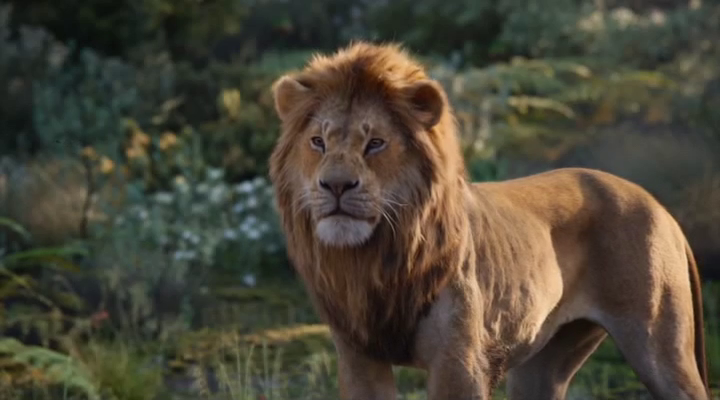Lion King 2019 1080p Bluray DTS-HD MA 7 1 X264-EVO Lion King 2019 1080p Bluray DTS-HD MA 7 1 X264-EVO