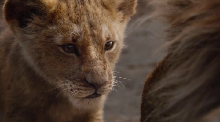Lion King 2019 1080p Bluray DTS-HD MA 7 1 X264-EVO Lion King 2019 1080p Bluray DTS-HD MA 7 1 X264-EVO