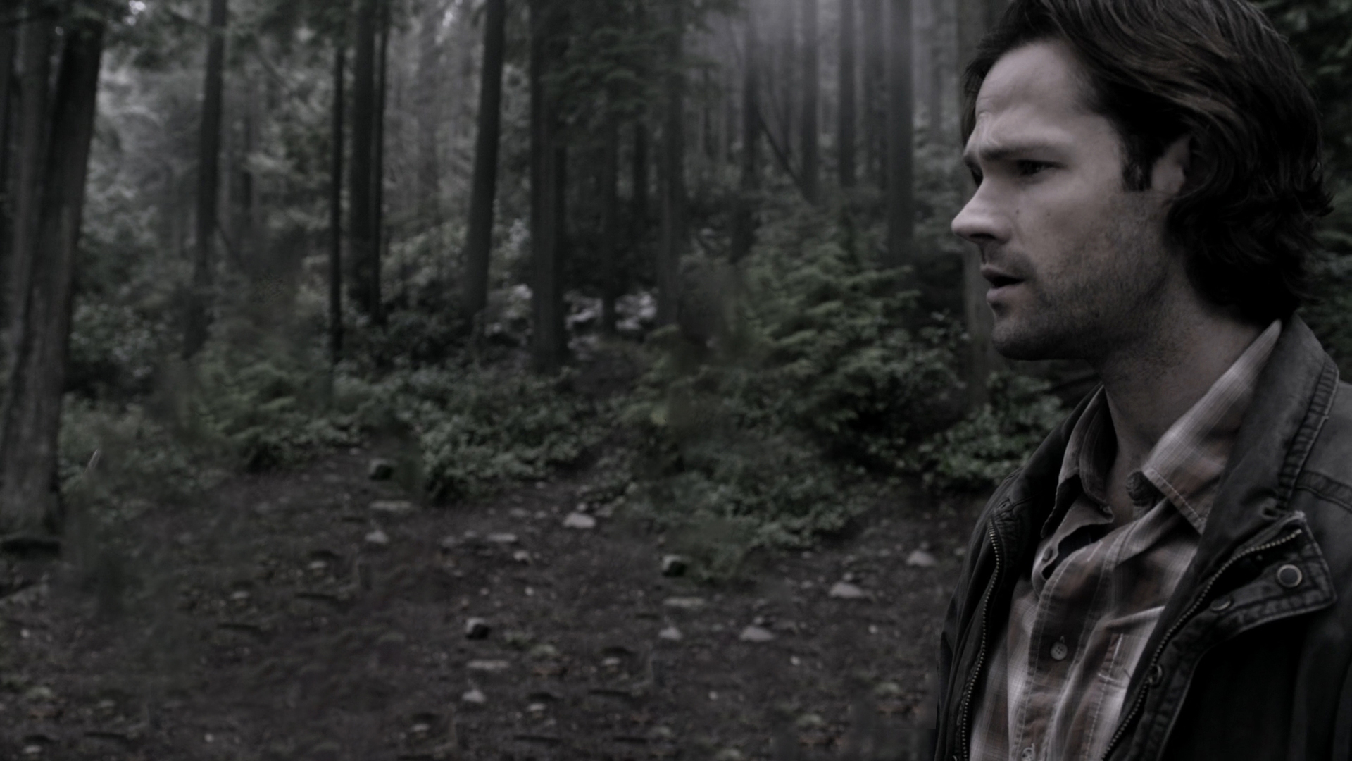 60 — копия.jpg