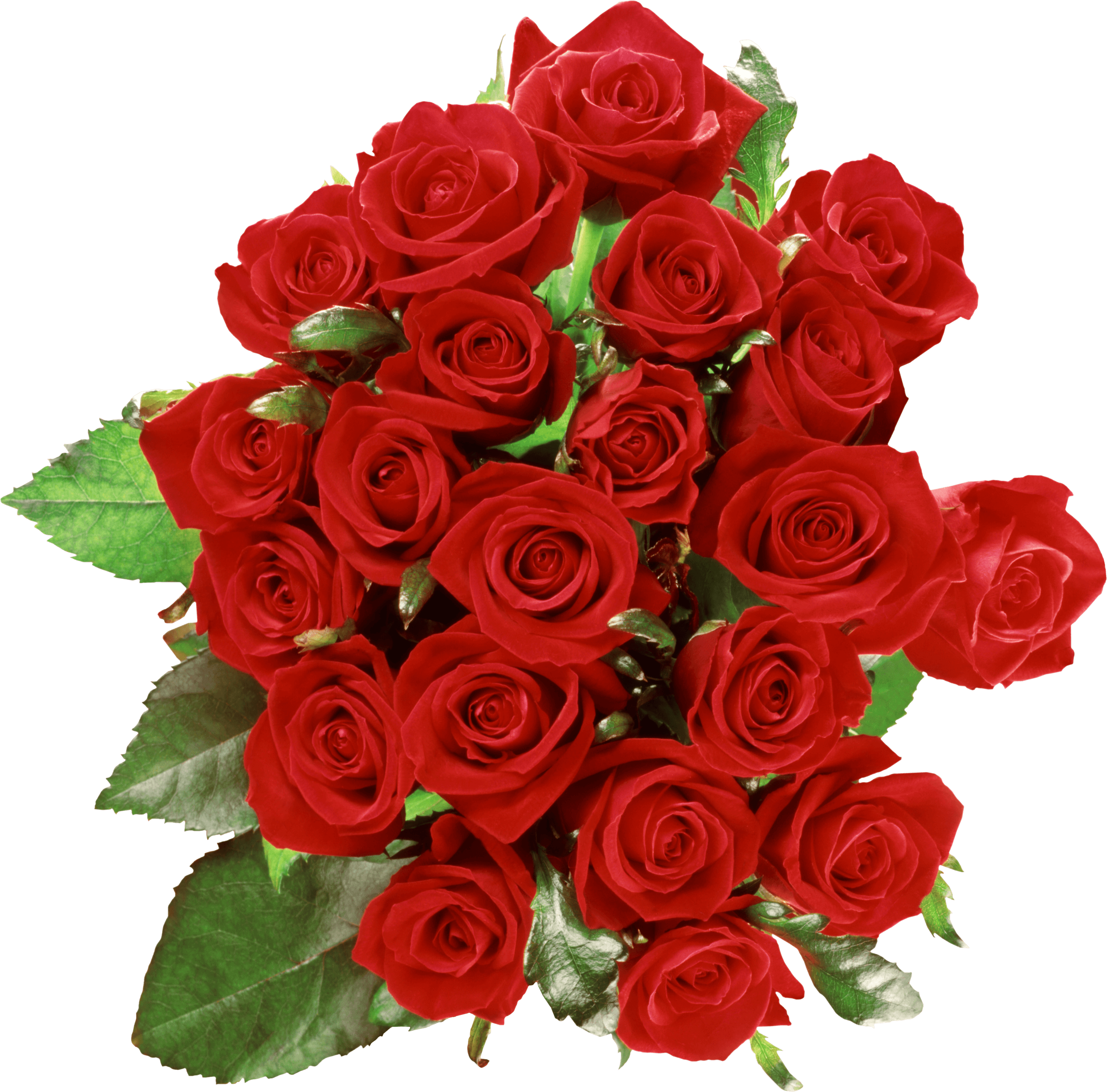3-bouquet-of-roses-png-image-picture-download.png.