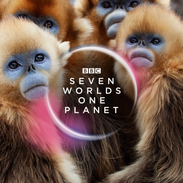 BBC:  ,   / Seven Worlds, One Planet [1 ] (2019) HDRip | FocusX