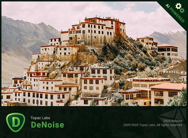 Topaz DeNoise AI 2.2.9 x64 + Portable