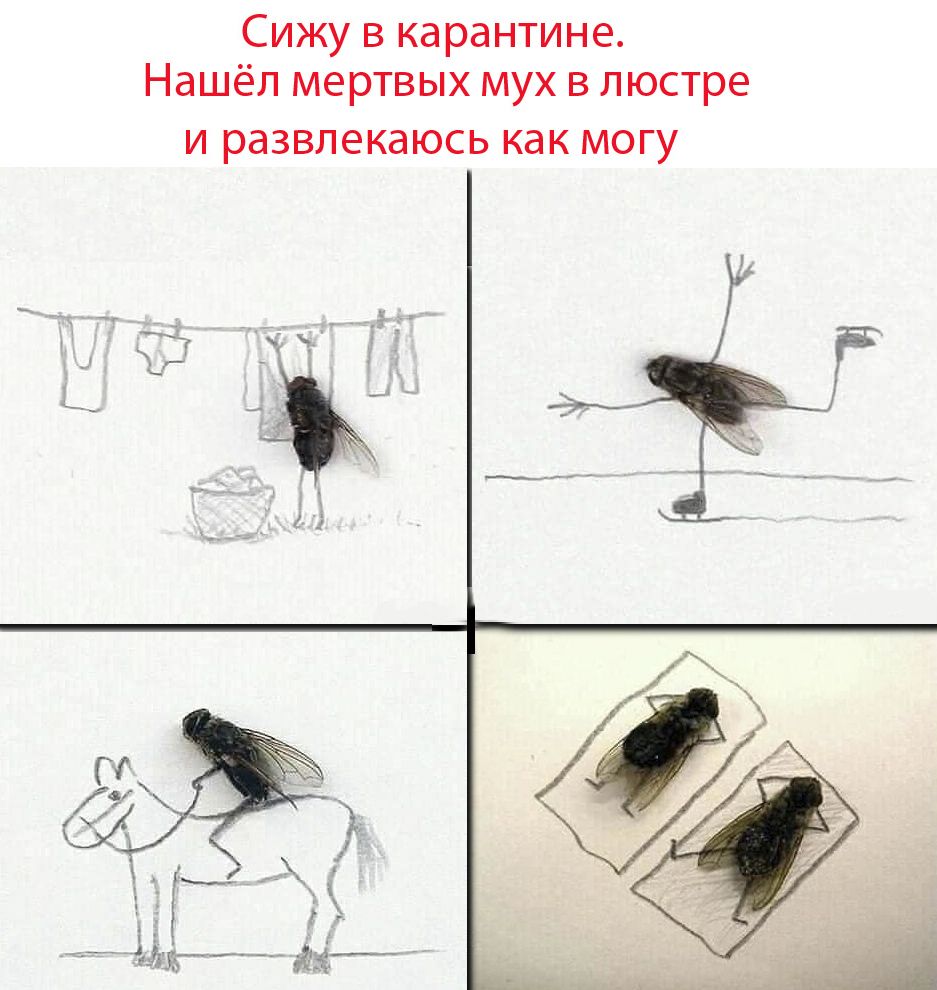 Для літніх людей, школярів і студентів карантин буде продовжено, - Шмигаль - Цензор.НЕТ 2476