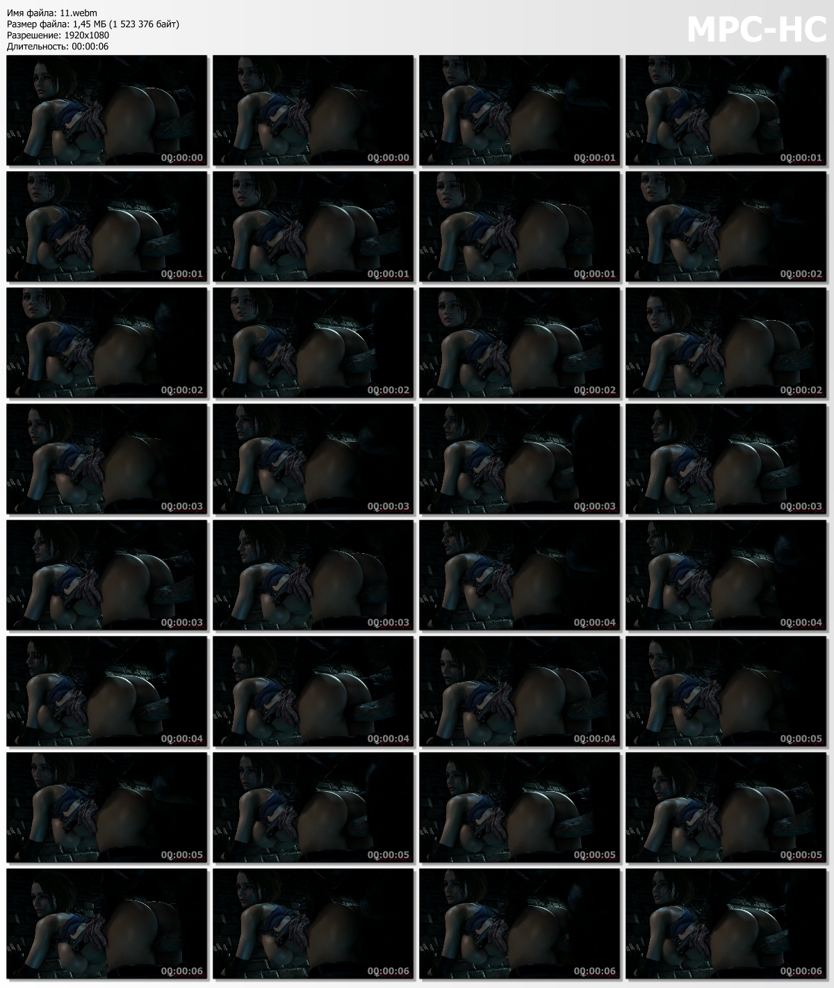 11.webm_thumbs.jpg