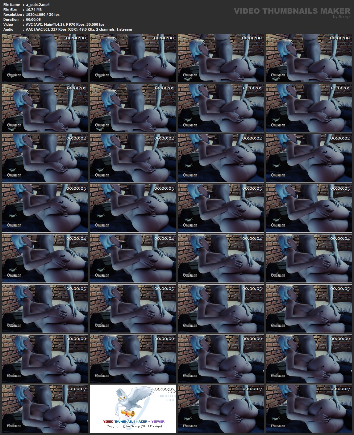 a_pub12.mp4.jpg