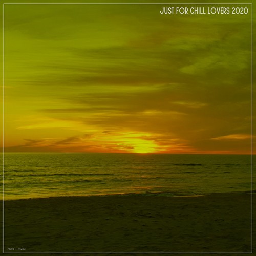 VA - Just for Chill Lovers 2020 (2020)