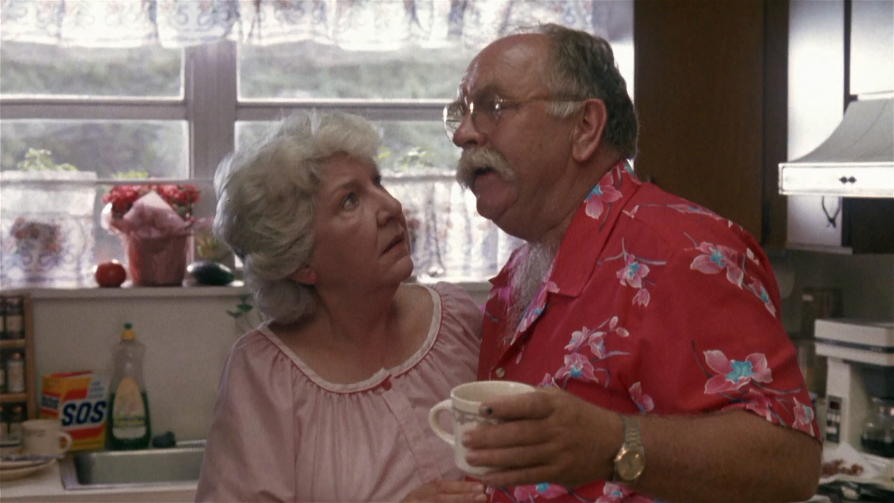 Кокон-2.Возвращение.(1988).WEB-DLRip-AVC.[-=DoMiNo=-].mkv_20200902_091317.656.png