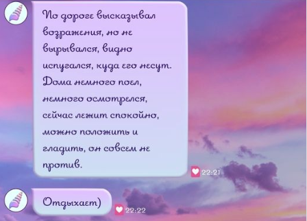 1544844ac7c8cd1a47bad99b38b71021.png