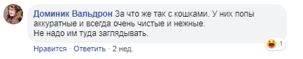 dc2fe81431b4c5ce1815c025316ef7c9.png
