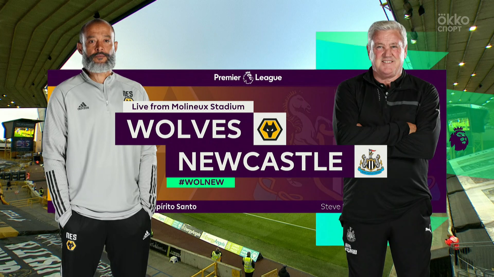 Wolverhampton Wanderers - Newcastle United wol-new-epl20-50.mkv_20201027_001431.477.jpg