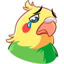 https://i6.imageban.ru/out/2020/11/24/0da7b8c8c0e9d500736674cae6c3ee74.png