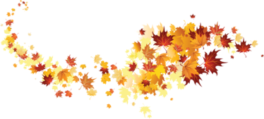 kisspng-autumn-leaf-color-autumn-leaves-5ab87b15a29815.666895531522039573666 (1) (1).png