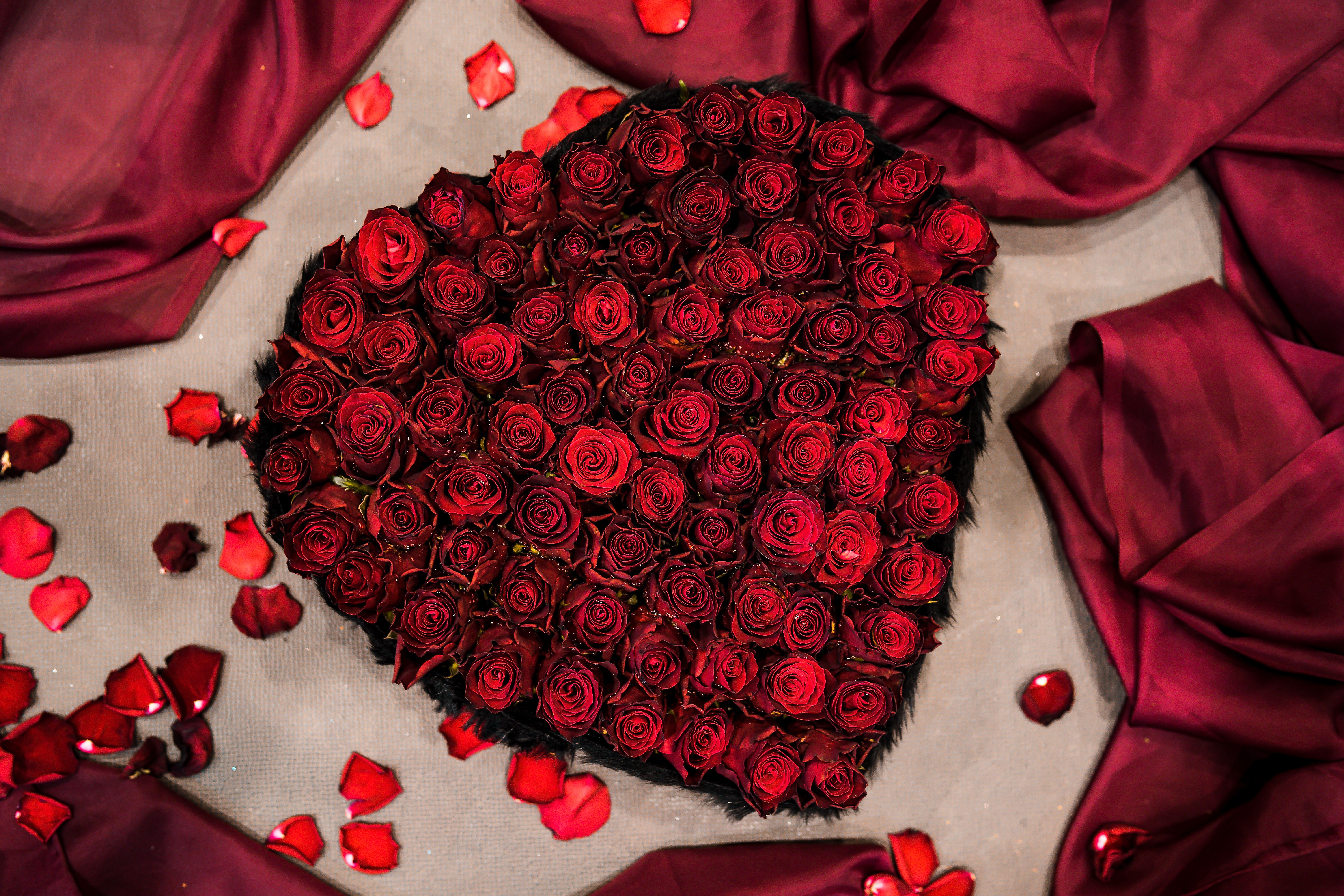 127763-plant-red-love-heart-pink-6000x4000.jpg