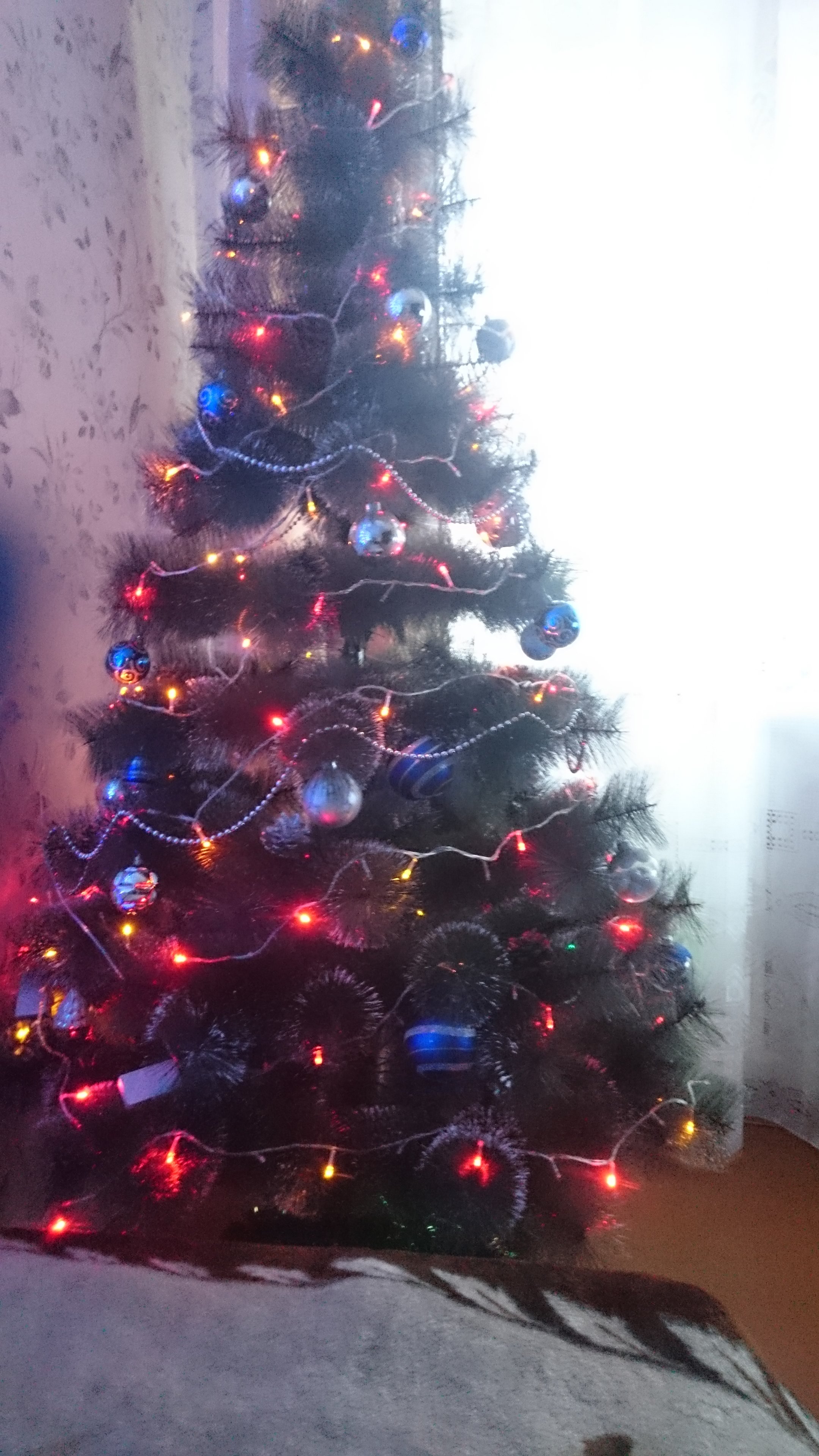 IMG_20201227_161051.jpg