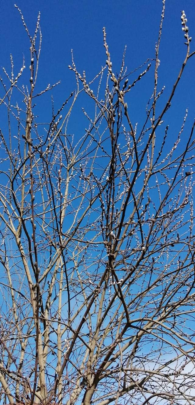 20210324_154319.jpg