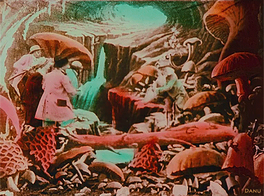 3.gif