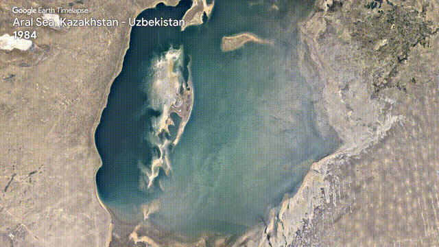 3f09c7a5f2cdef3a426fcfc10e6f8068.gif
