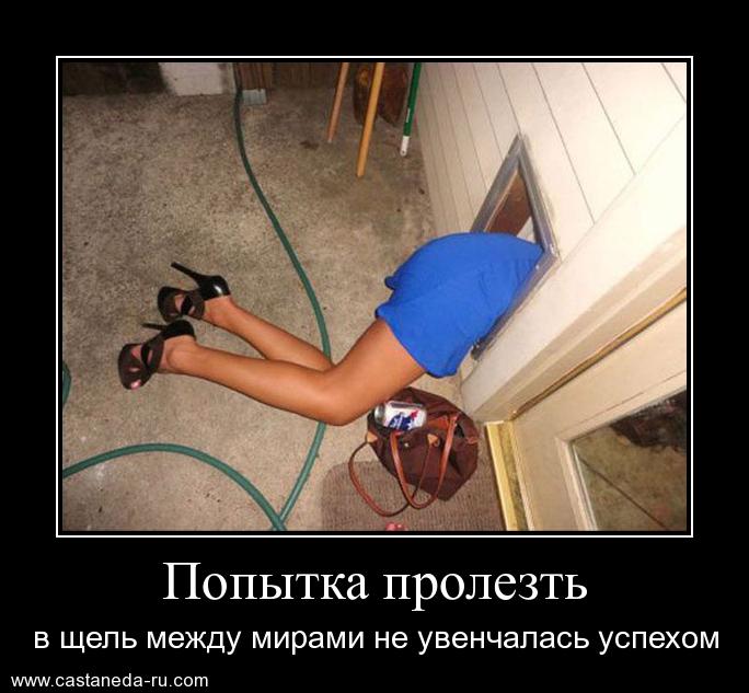 https://i6.imageban.ru/out/2021/07/17/20cedc2d89b04521ea71e1e171bfc6e0.jpg