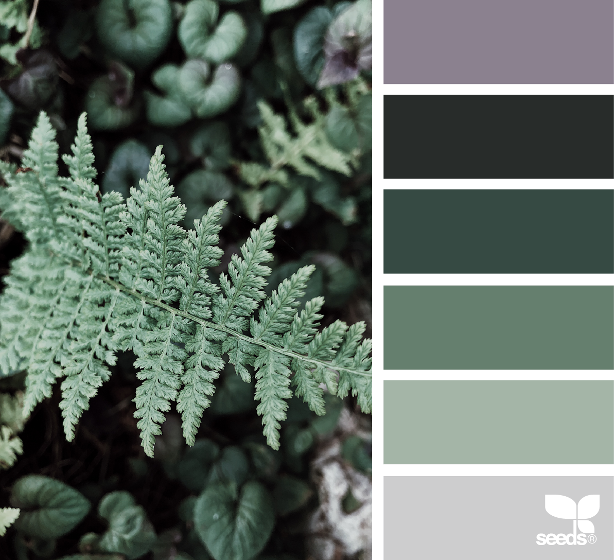 Сочетания цветов лес. Тайга цветовая палитра. Цвета тайги палитра. Таежный цвет палитра. Хвойная палитра с серым