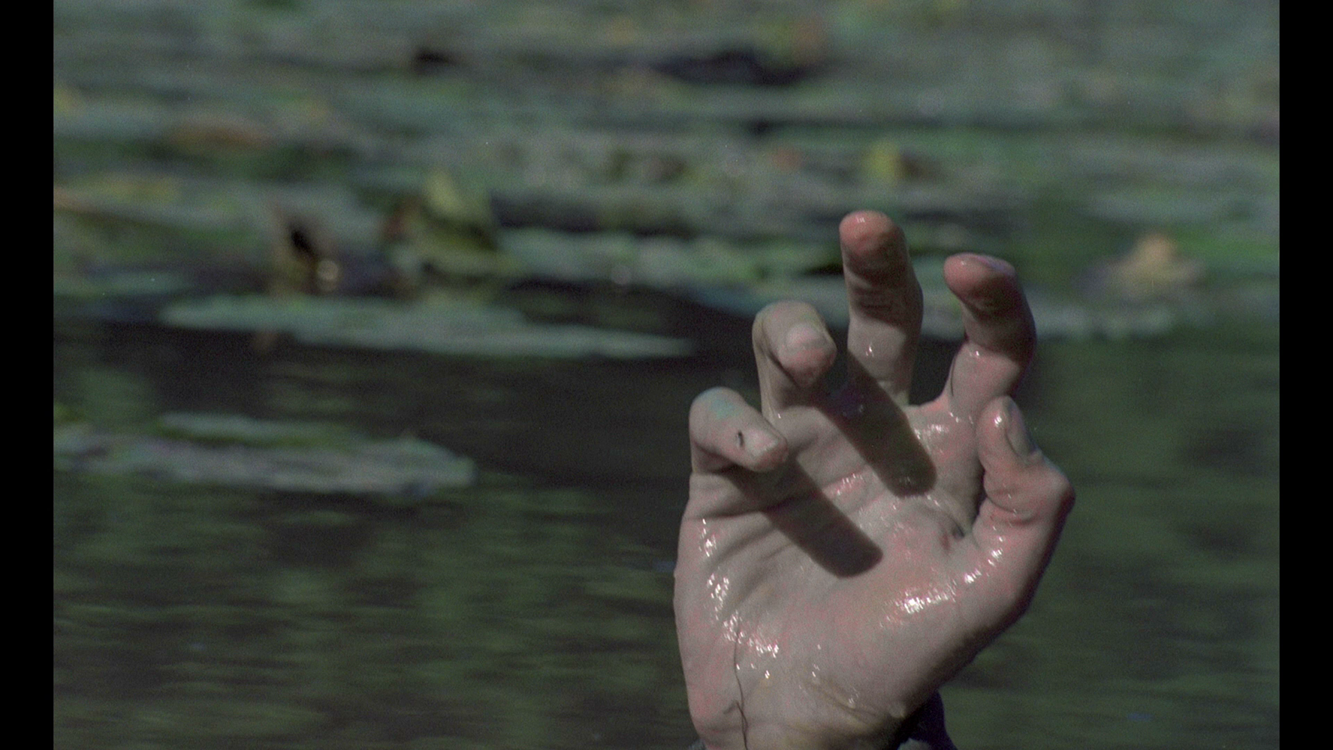 Zombie.Lake.1981.Redemption.BDRemux.1080p[(007009)12-10-01].PNG