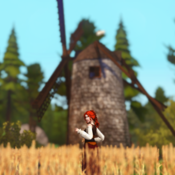 TS4_x64 2020-08-21 19-06-09-84.png