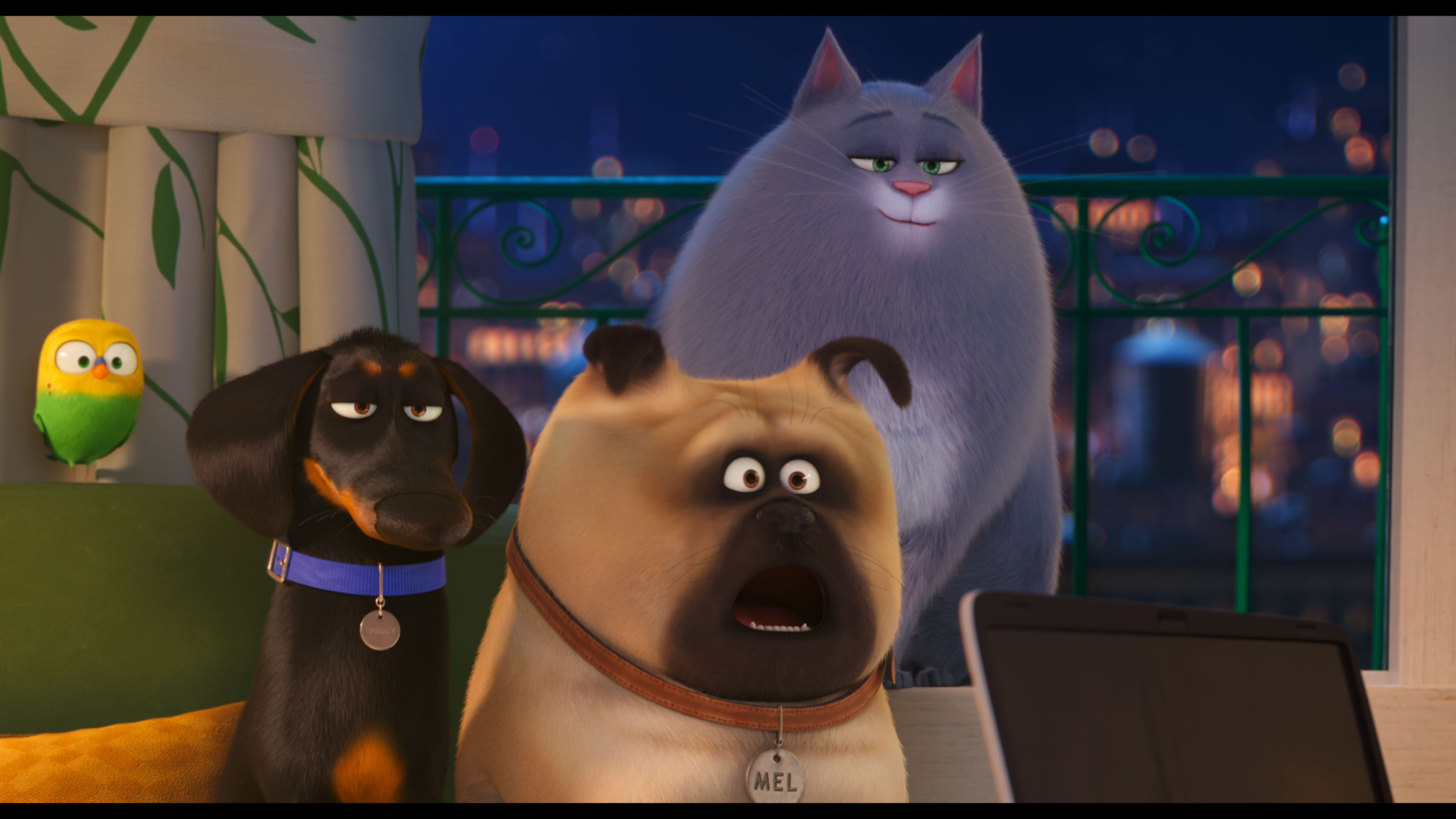 The.Secret.Life.of.Pets.2.2019.UHD.BDRemux.2160p.TrueHD.7.1.Atmos.HDR+.DoVi.by DVT.mkv_snapshot_00.39.51_[2021.10.31_21.01.52].png