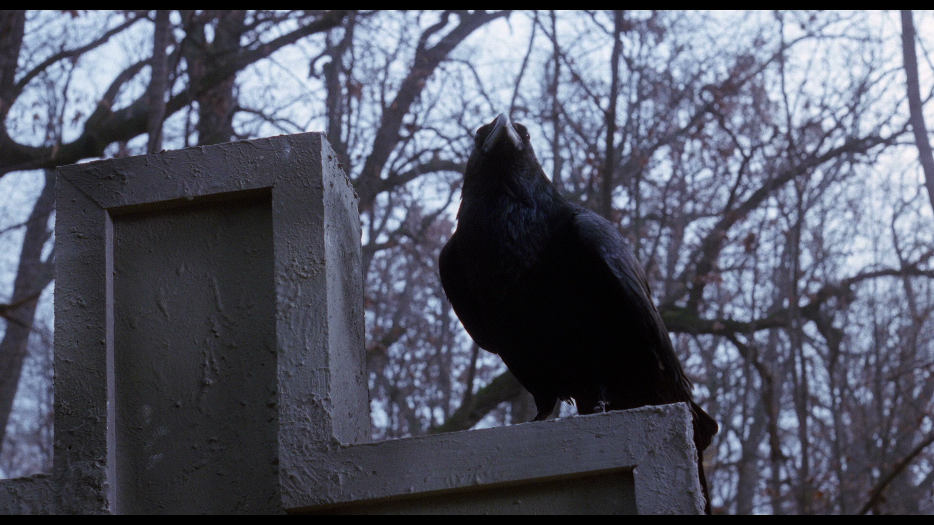 Elvira's.Haunted.Hills.2002.Shout!Factory.BDRemux.1080p[(051849)10-51-20].PNG