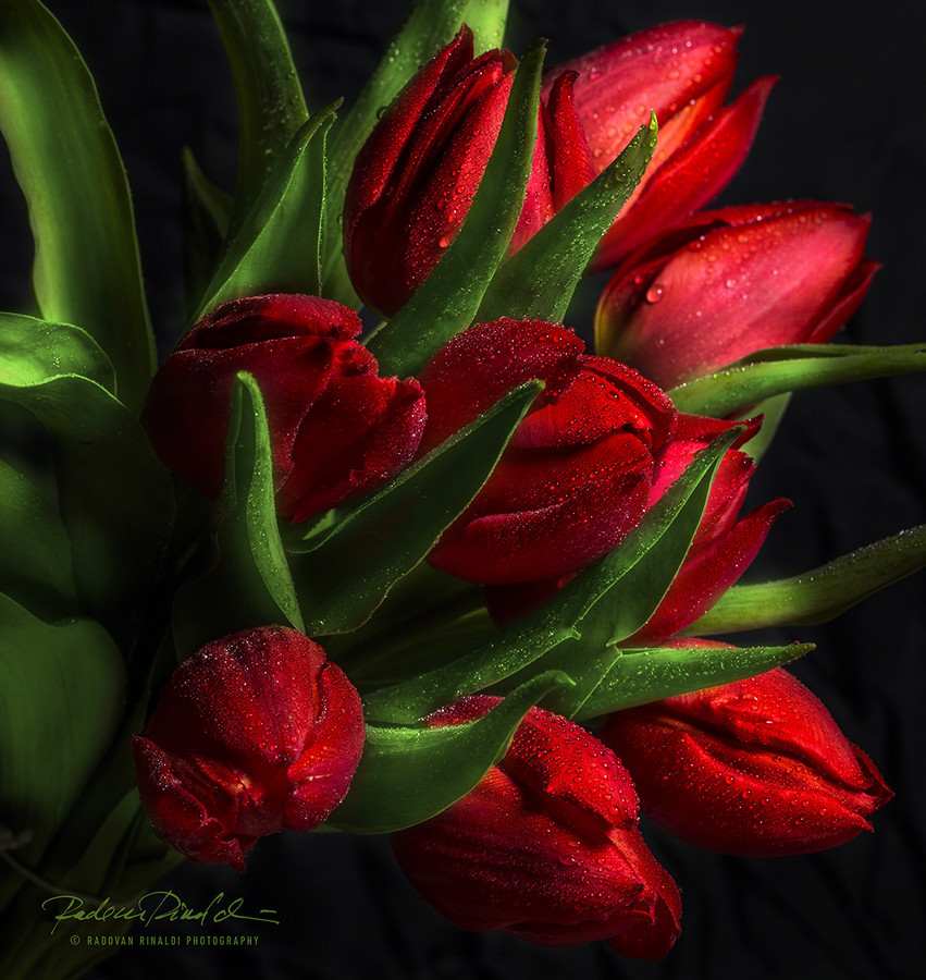 tumblr_ng2k90WxEO1qb3v7ho1_1280.jpg