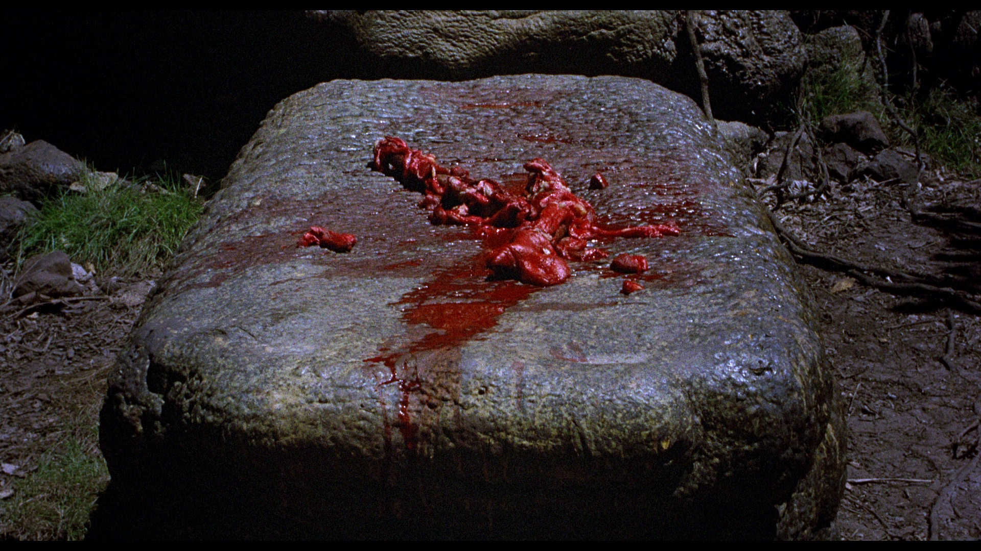 The.Blue.Lagoon.1980.Eureka!BDRemux.1080p[(029522)08-35-06].PNG