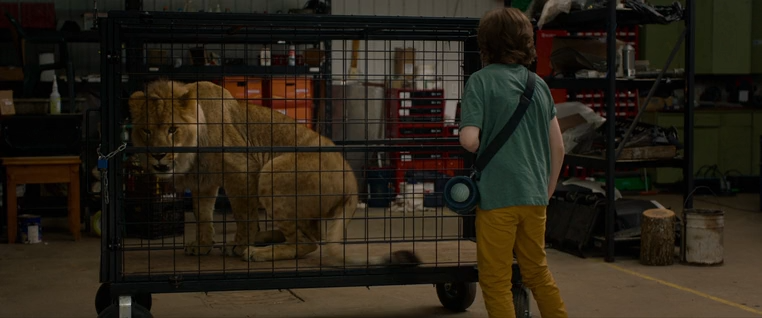 The.Wolf.and.the.Lion.2021.BDRip-AVC.ExKinoRay.mkv_snapshot_00.50.31.583.png