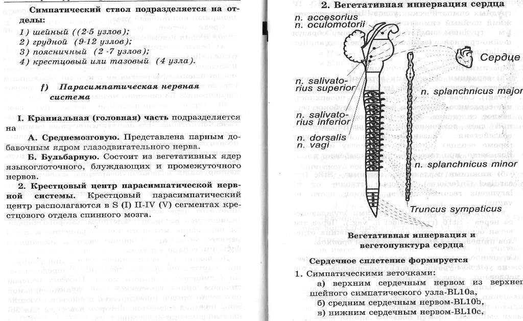 https://i6.imageban.ru/out/2022/05/17/4346b2dffd7c129ae70707dc026df3fa.jpg