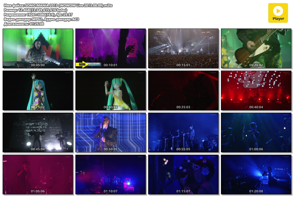 SONIC MANIA 2013 (WOWOW Live 2013.08.09).m2ts.png