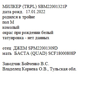 Милкер анк ЛПХ Зааненталь.jpg