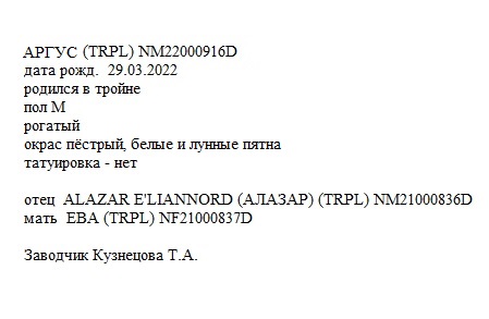 Аргус анк Татьяна Моджо.jpg
