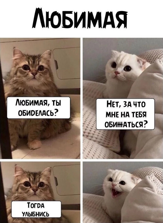 pjFLow0G.jpg