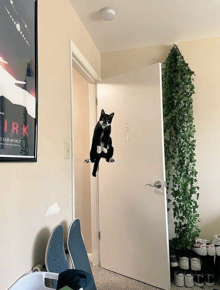 image.jpg