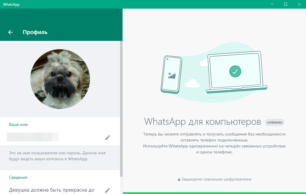 WhatsApp 2.2226.6 RePack (& Portable) by elchupacabra [Multi/Ru]